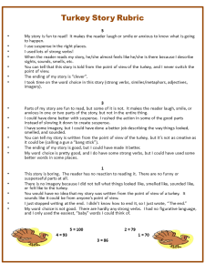 turkey story rubric