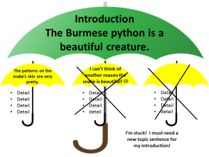 topic sentence umbrellas mistake